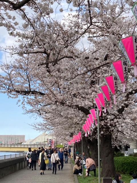 Sky Tree Inn Ⅱ（晴樹宿ⅱ） 東京都 エクステリア 写真